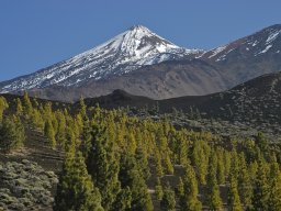 Tenerife2002-2003-003